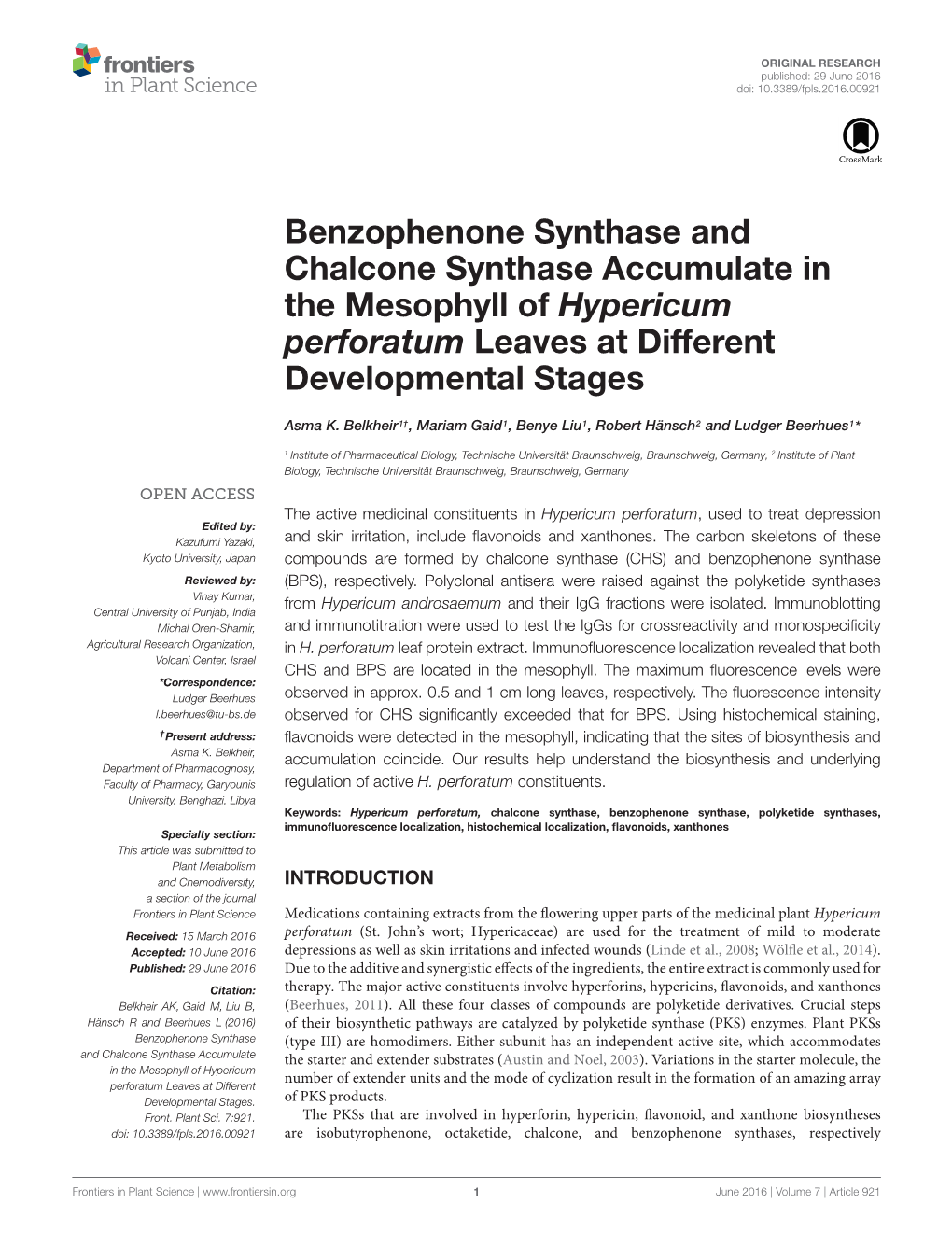 Benzophenone Synthase and Chalcone Synthase Accumulate in the Mesophyll of Hypericum Perforatum Leaves at Different Developmental Stages