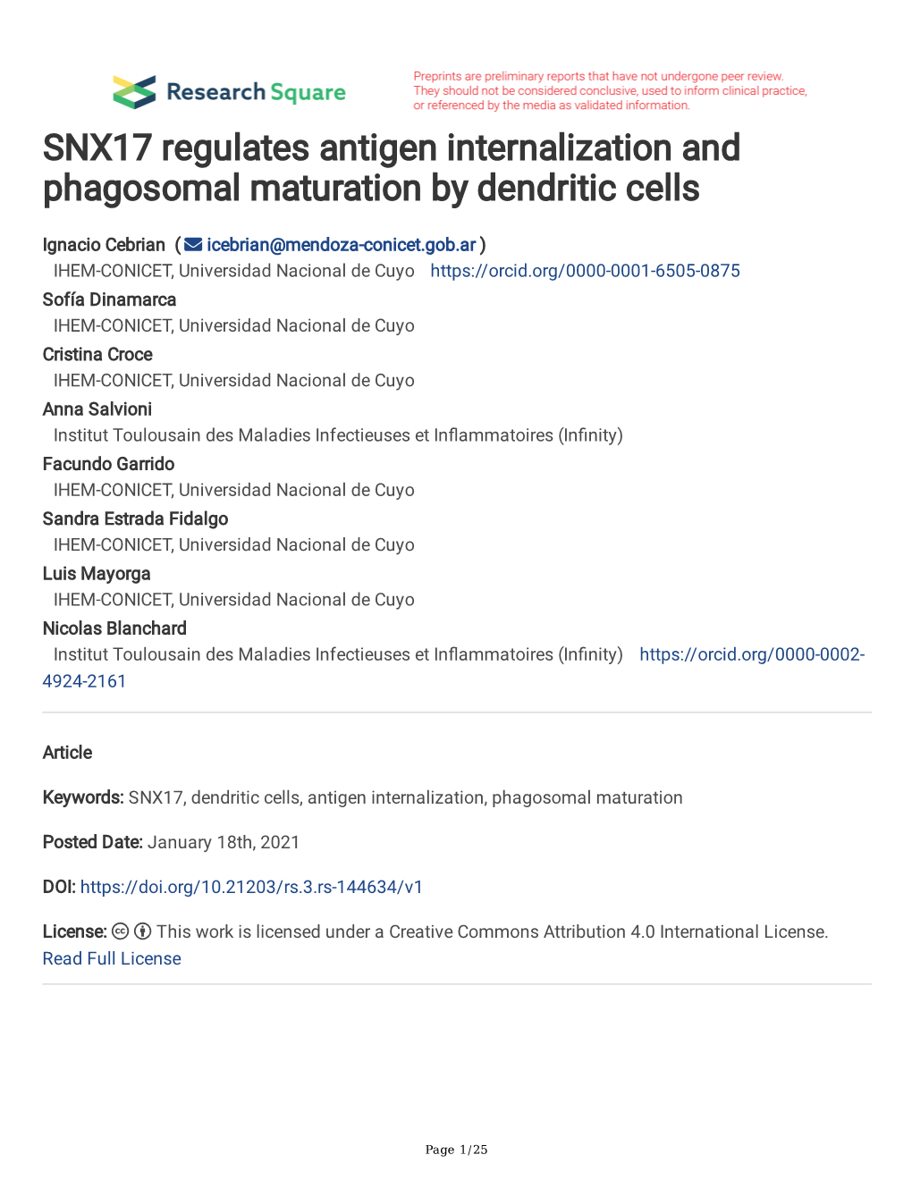 SNX17 Regulates Antigen Internalization and Phagosomal Maturation by Dendritic Cells