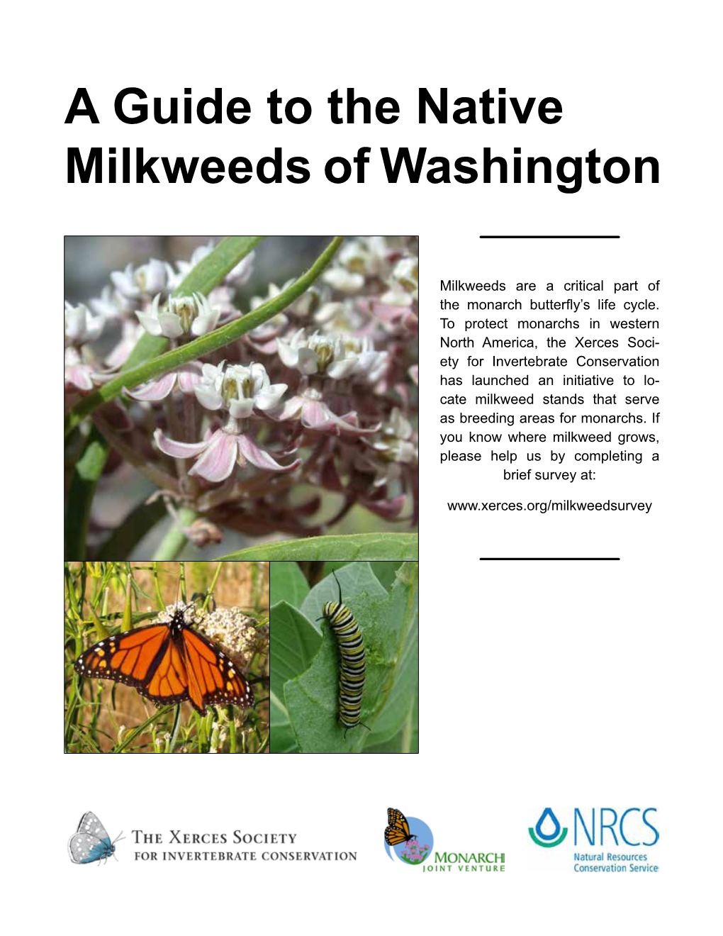 A Guide to the Native Milkweeds of Washington