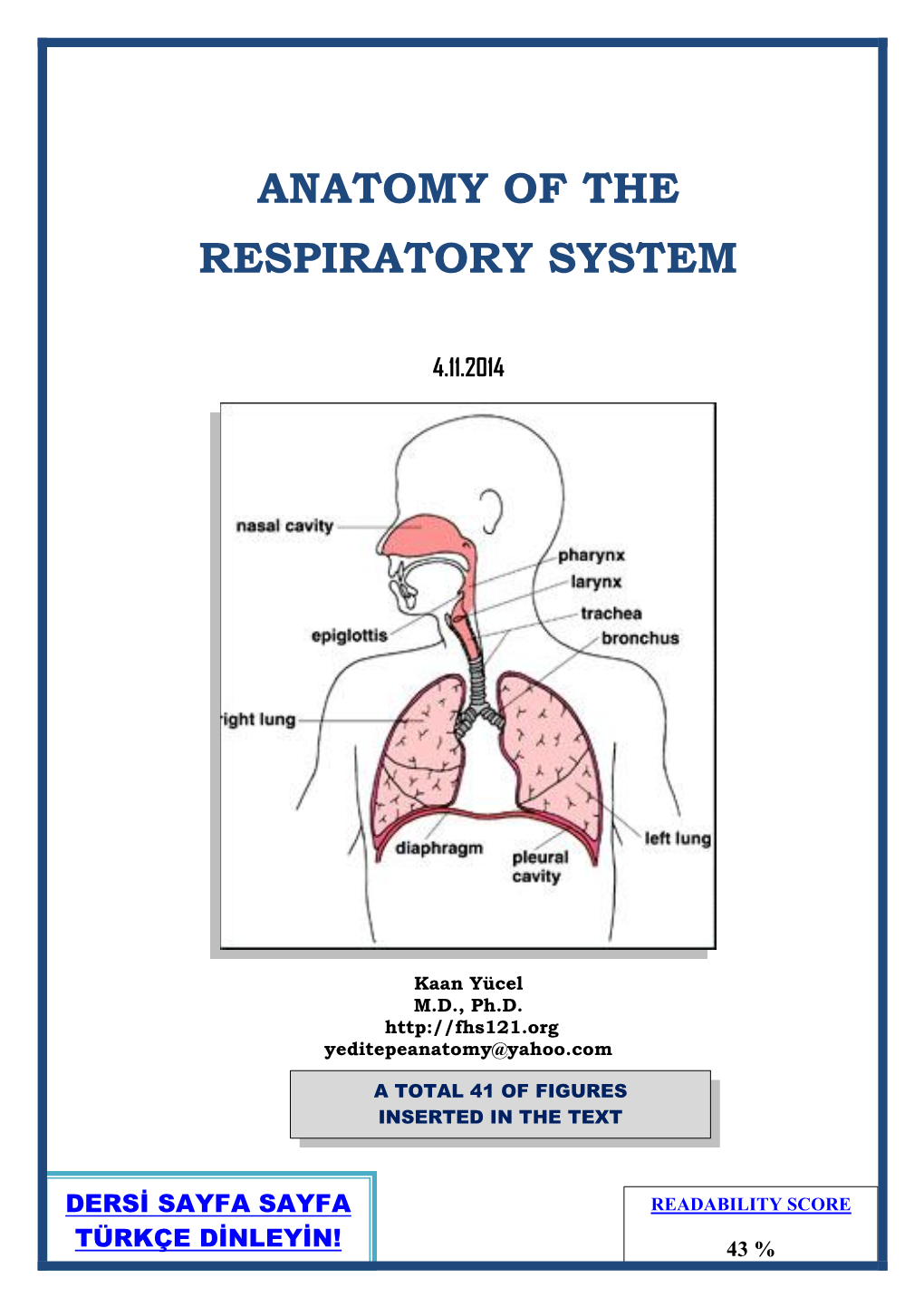 Anatomy of the Respiratory System