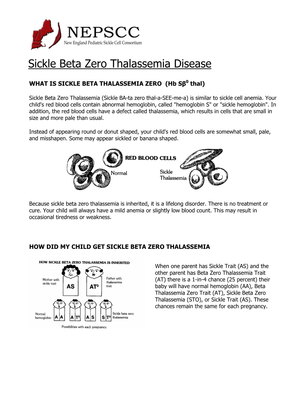 Sickle Beta Zero Thalassemia Disease