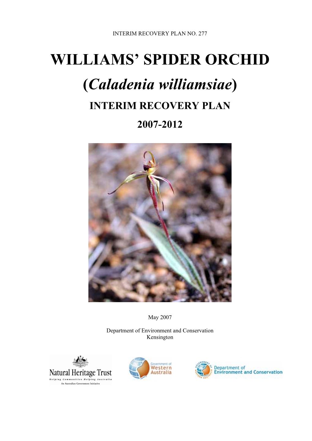 Caladenia Williamsiae)