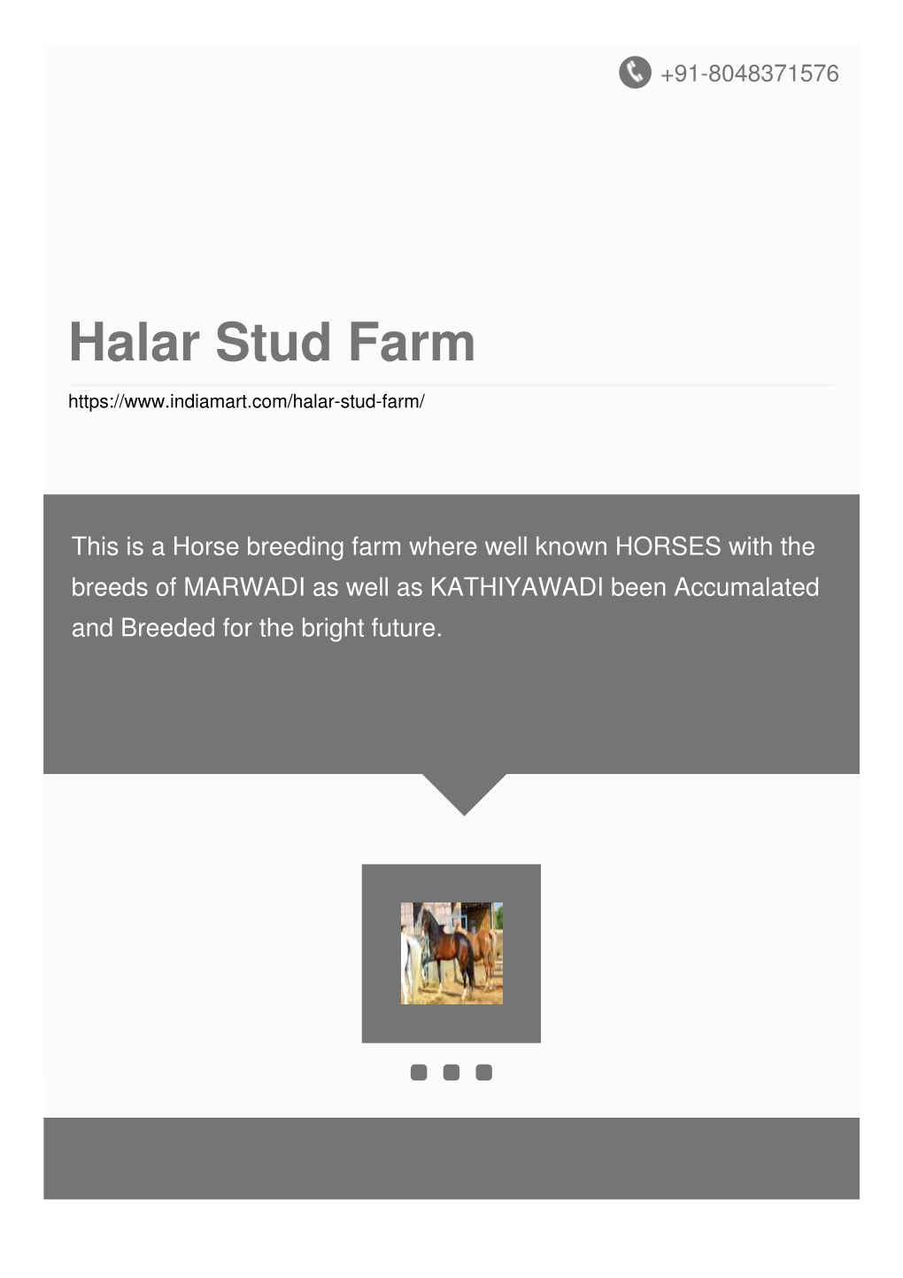 Halar Stud Farm