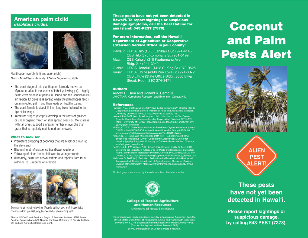 Coconut and Palm Pests Alert