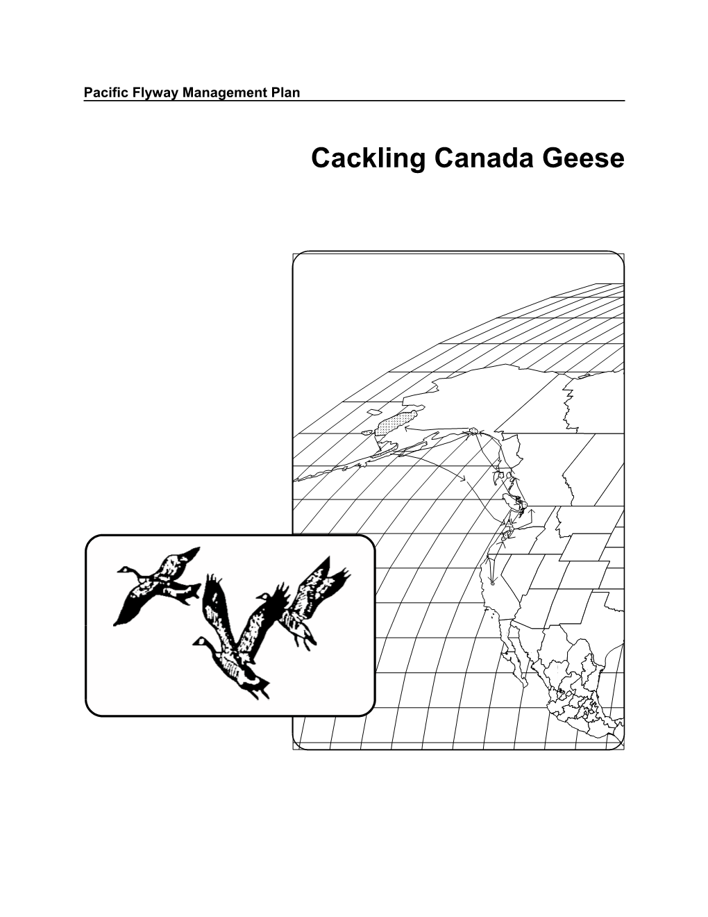 Cackling Canada Geese