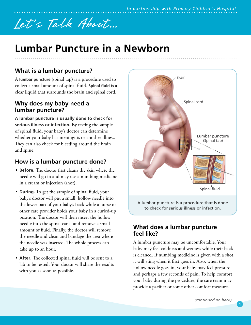 Lumbar Puncture in a Newborn