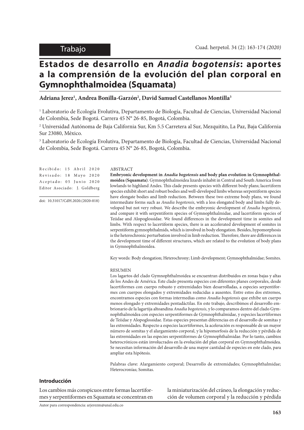 Estados De Desarrollo En Anadia Bogotensis: Aportes a La Comprensión De La Evolución Del Plan Corporal En Gymnophthalmoidea (Squamata)