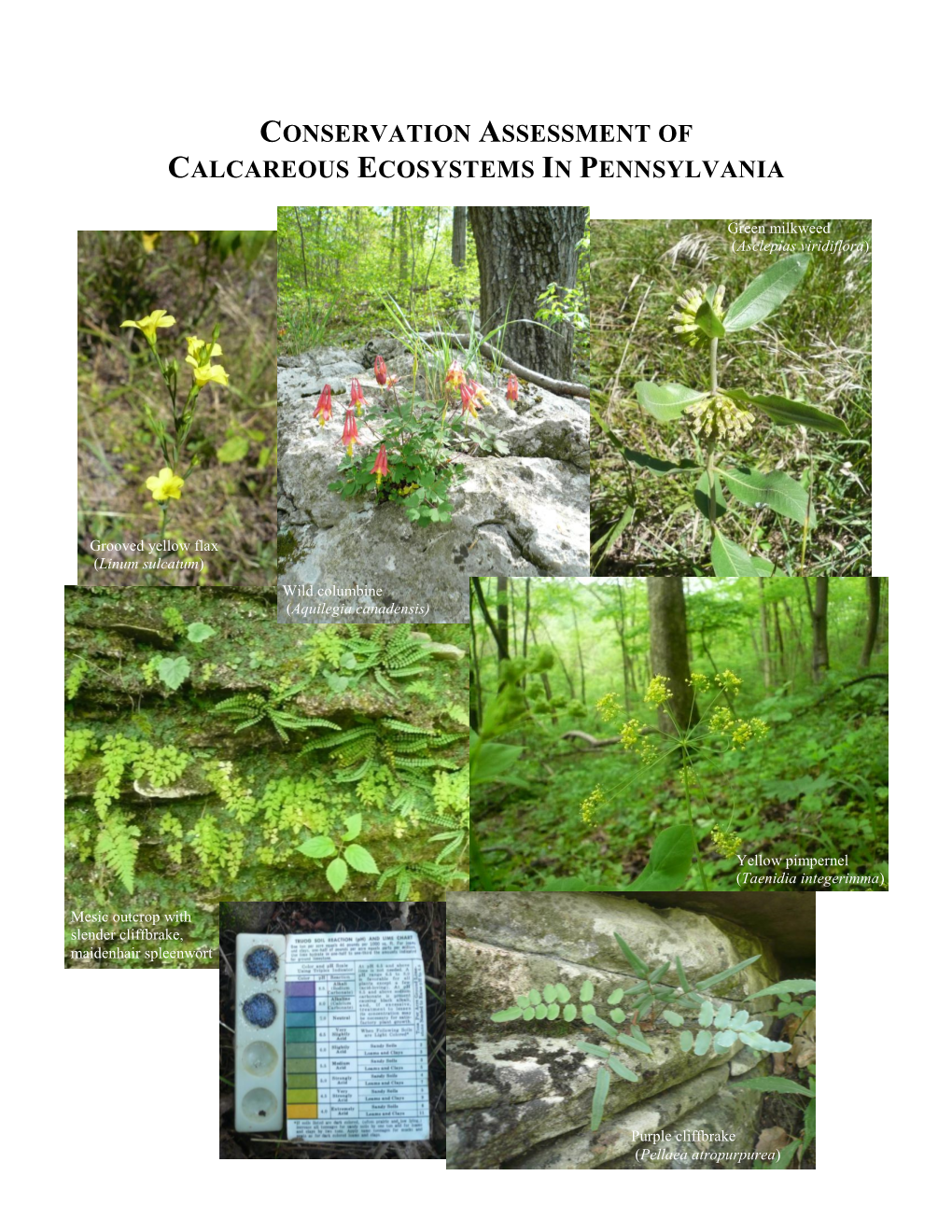 Conservation Assessment of Calcareous Ecosystems in Pennsylvania