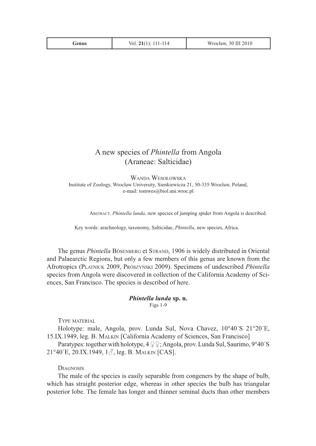 A New Species of Phintella from Angola (Araneae: Salticidae)