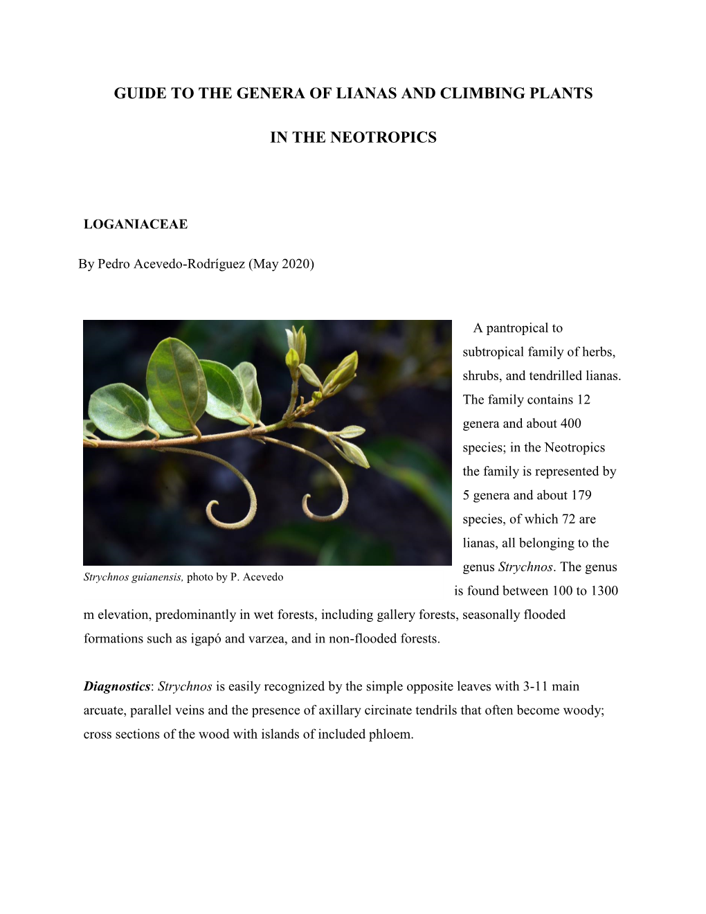 Lianas and Climbing Plants of the Neotropics: Loganiaceae