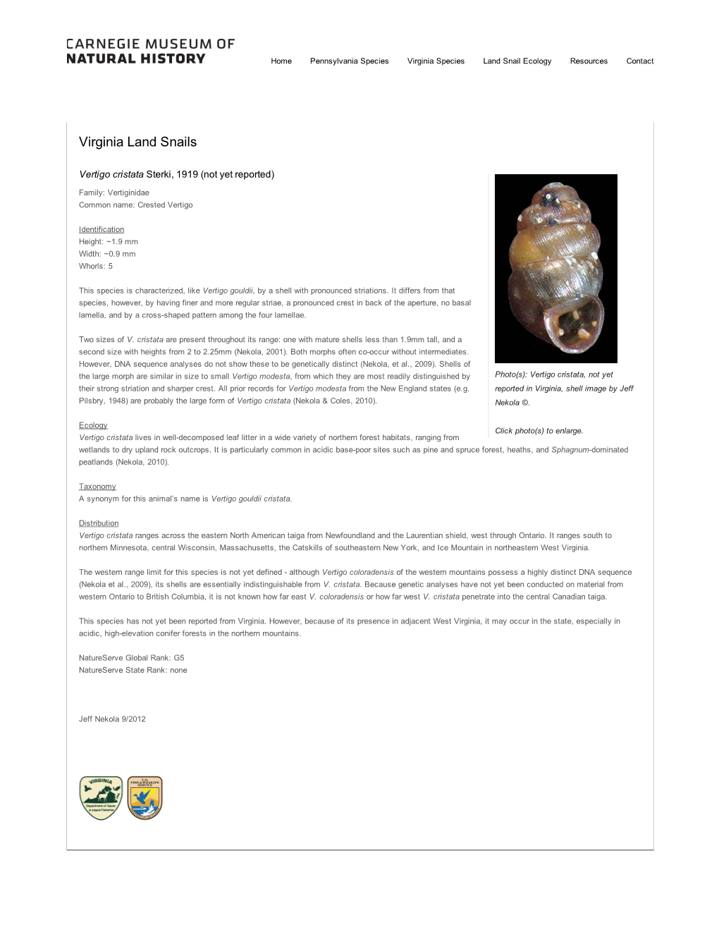 Mollusks : Carnegie Museum of Natural History
