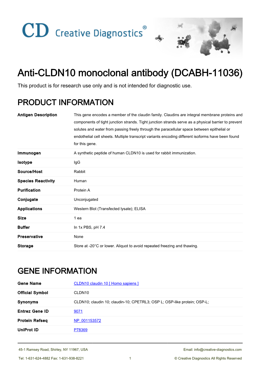 Anti-CLDN10 Monoclonal Antibody (DCABH-11036) This Product Is for Research Use Only and Is Not Intended for Diagnostic Use