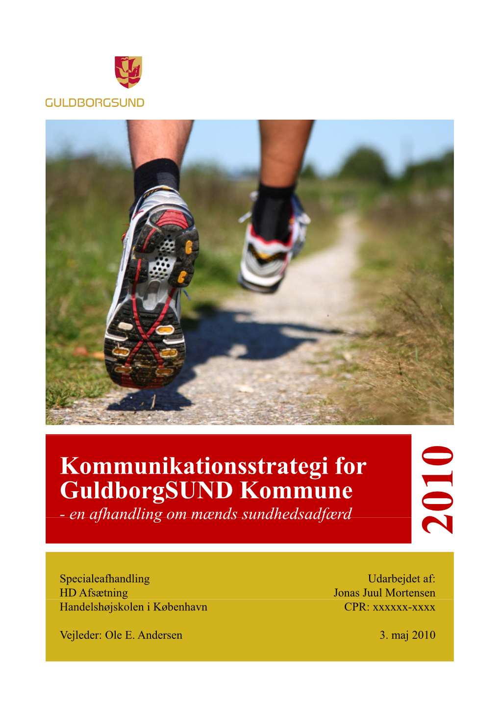 Kommunikationsstrategi for Guldborgsund Kommune - En Afhandling Om Mænds Sundhedsadfærd 010 2
