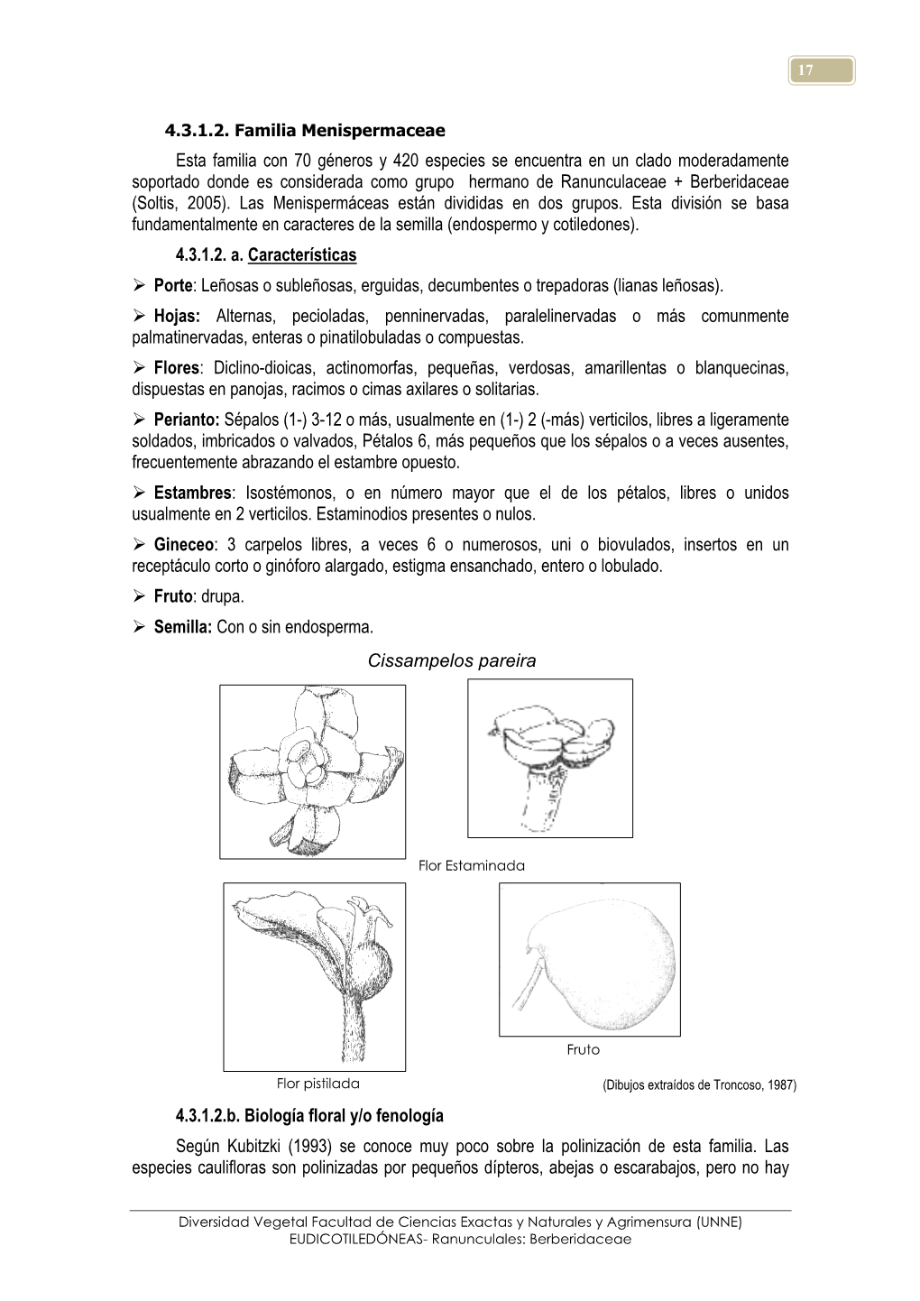 4.3.1.2. Familia Menispermaceae