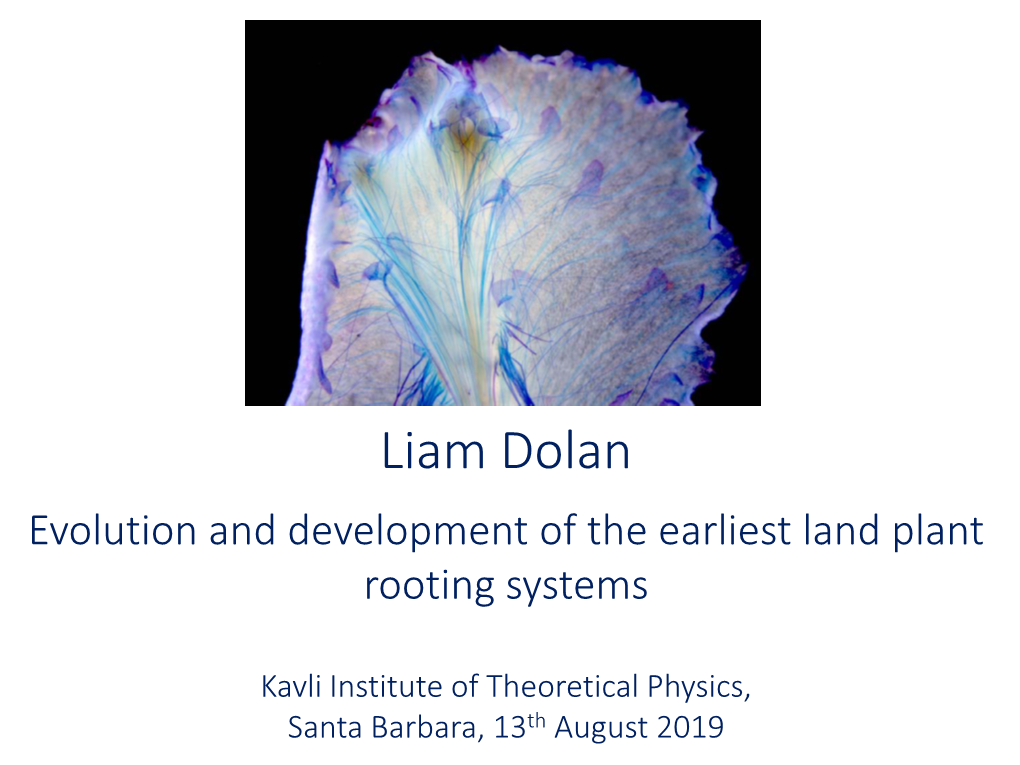 Liam Dolan Evolution and Development of the Earliest Land Plant Rooting Systems