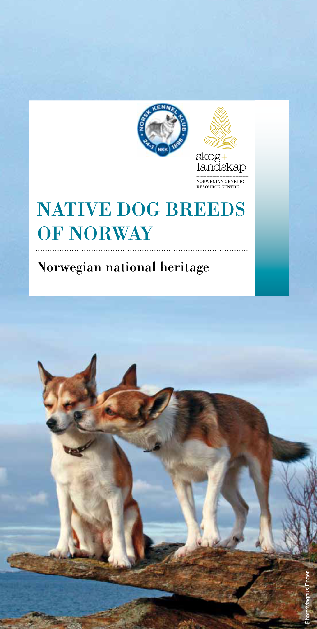 Native Dog Breeds of Norway