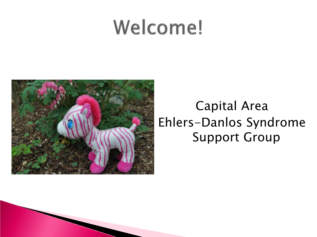 Ehlers-Danlos Syndrome Support Group Gastrointestinal Issues March 12, 2019