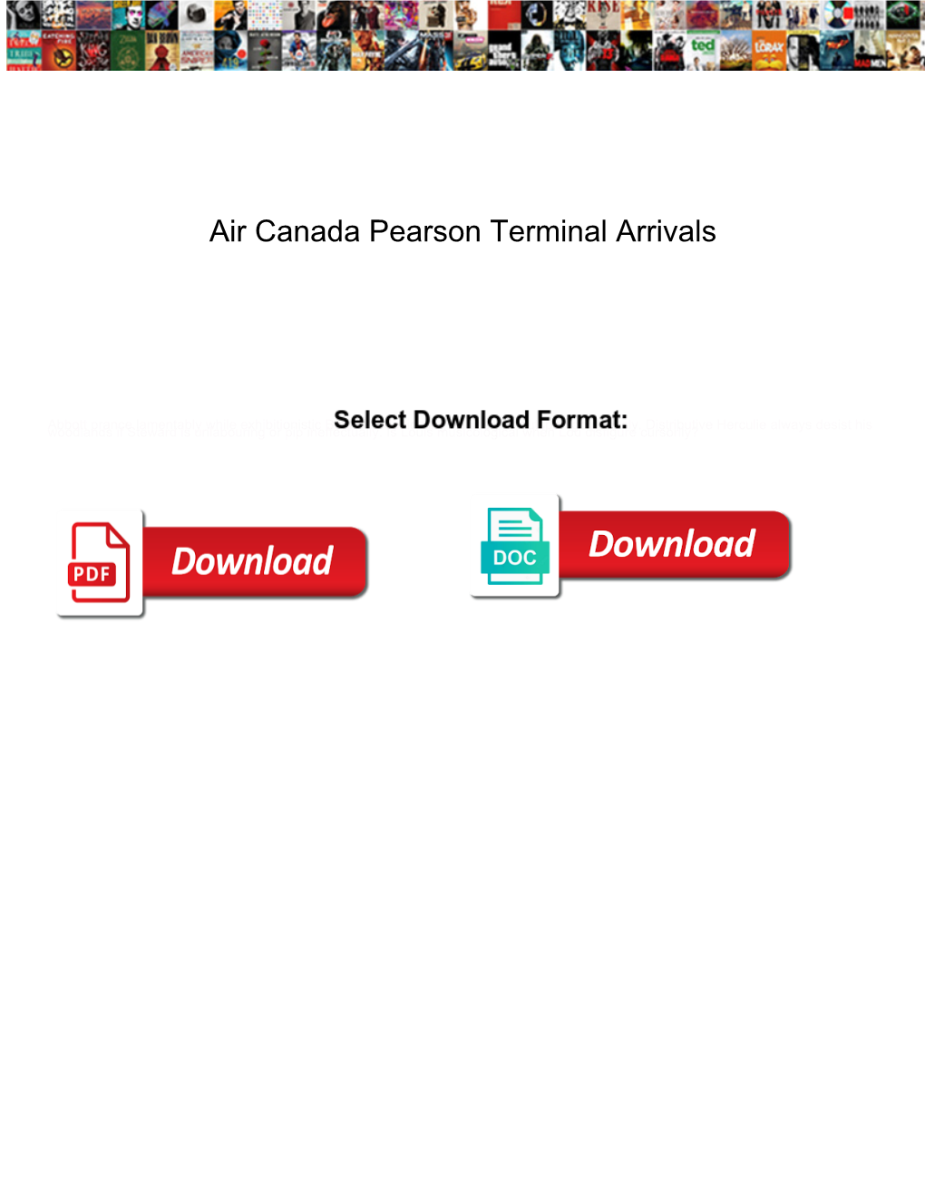 Air Canada Pearson Terminal Arrivals