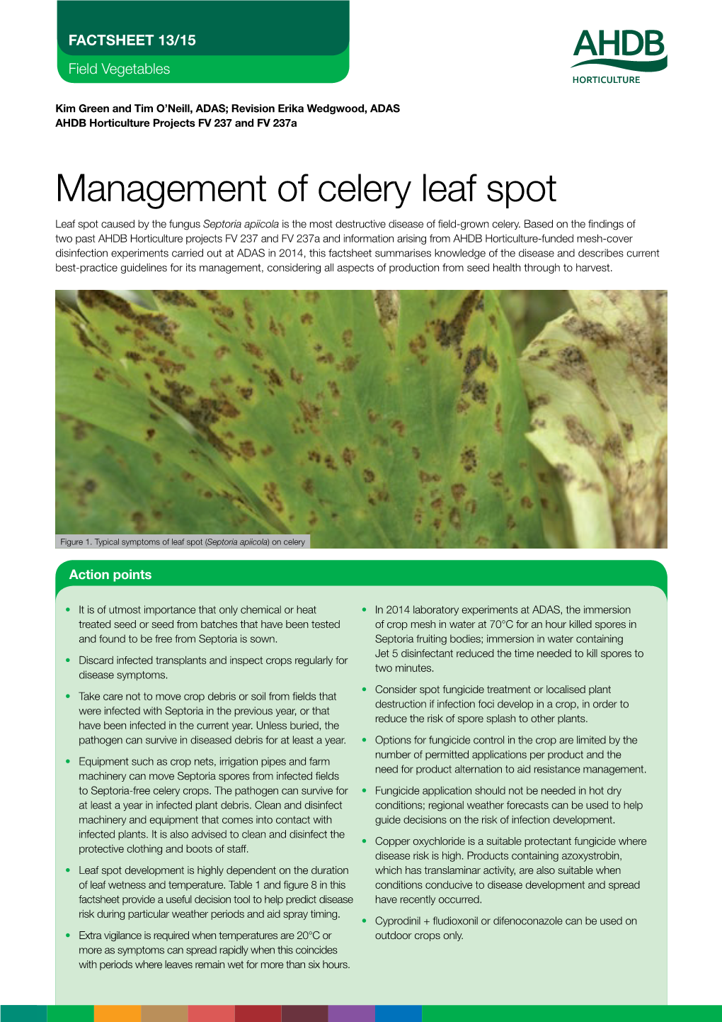 Management of Celery Leaf Spot Leaf Spot Caused by the Fungus Septoria Apiicola Is the Most Destructive Disease of Field-Grown Celery