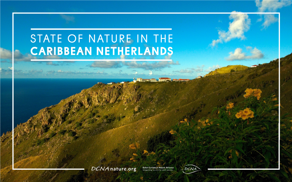 Bionews State of Nature in the Caribbean Netherlands
