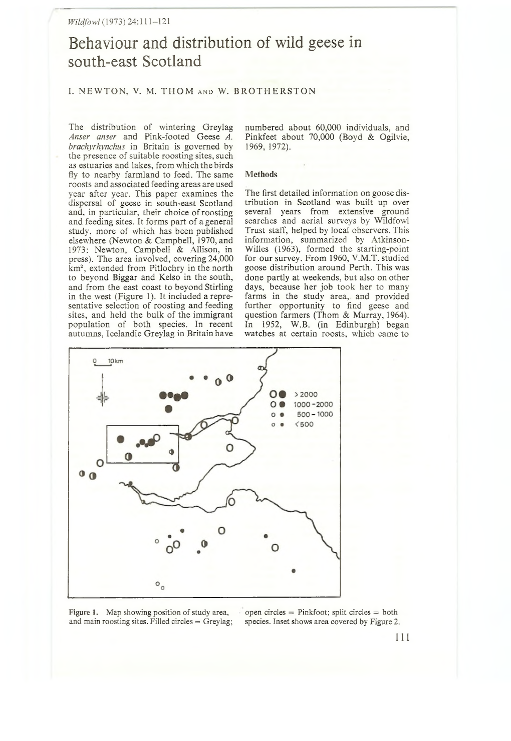 Behaviour and Distribution of Wild Geese in South-East Scotland