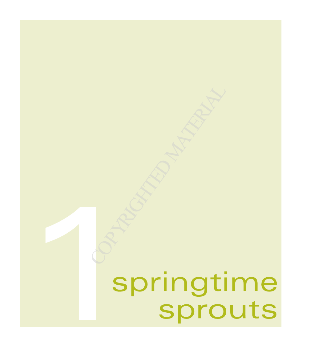 1Springtime Sprouts