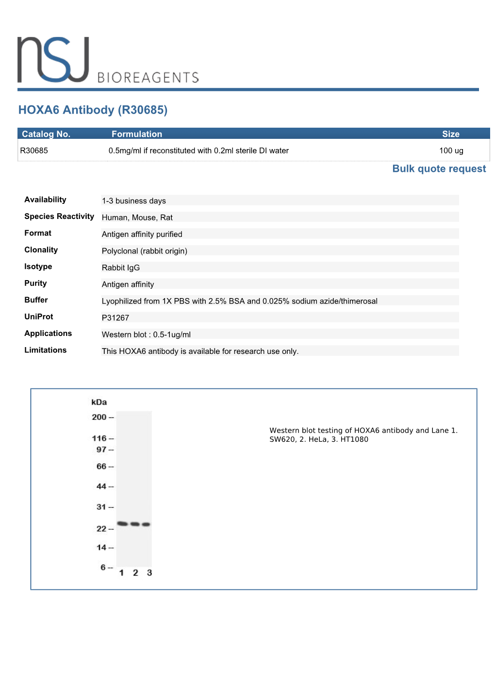 HOXA6 Antibody (R30685)