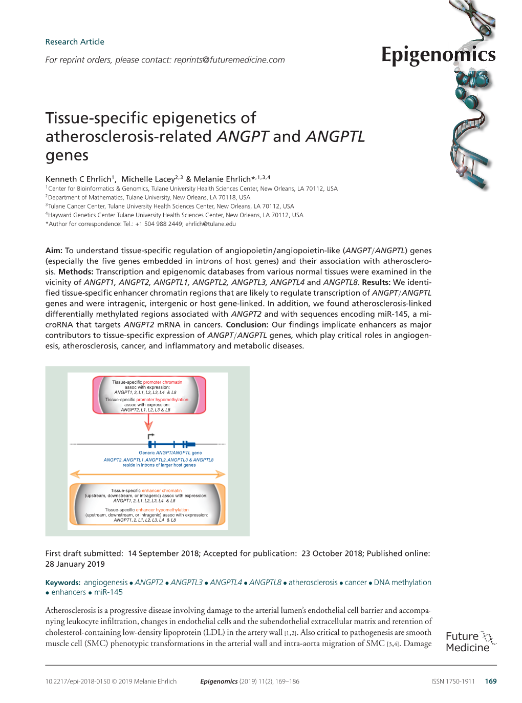 Tissue-Specific Epigenetics of Atherosclerosis-Related ANGPT and ANGPTL Genes