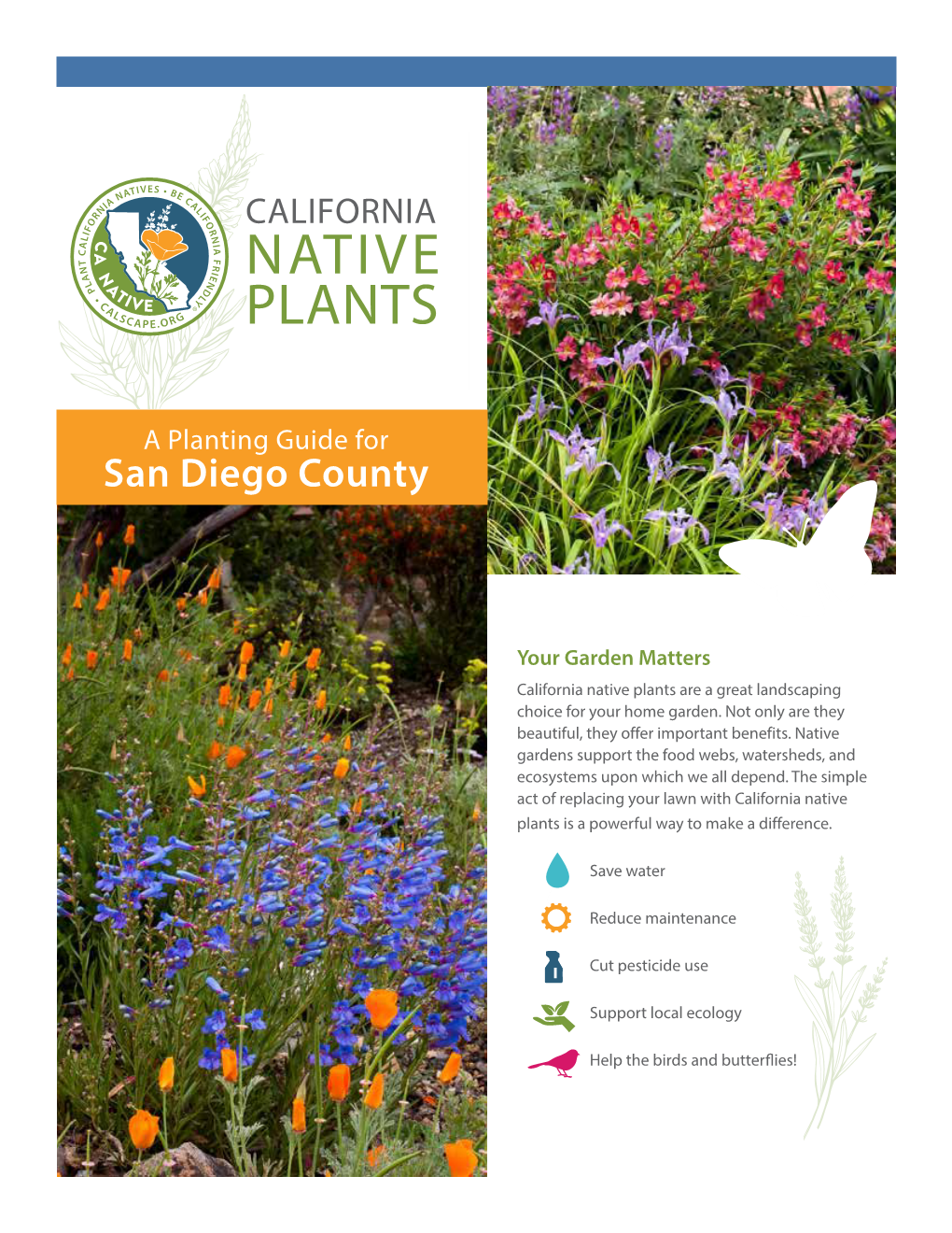 Native Plants