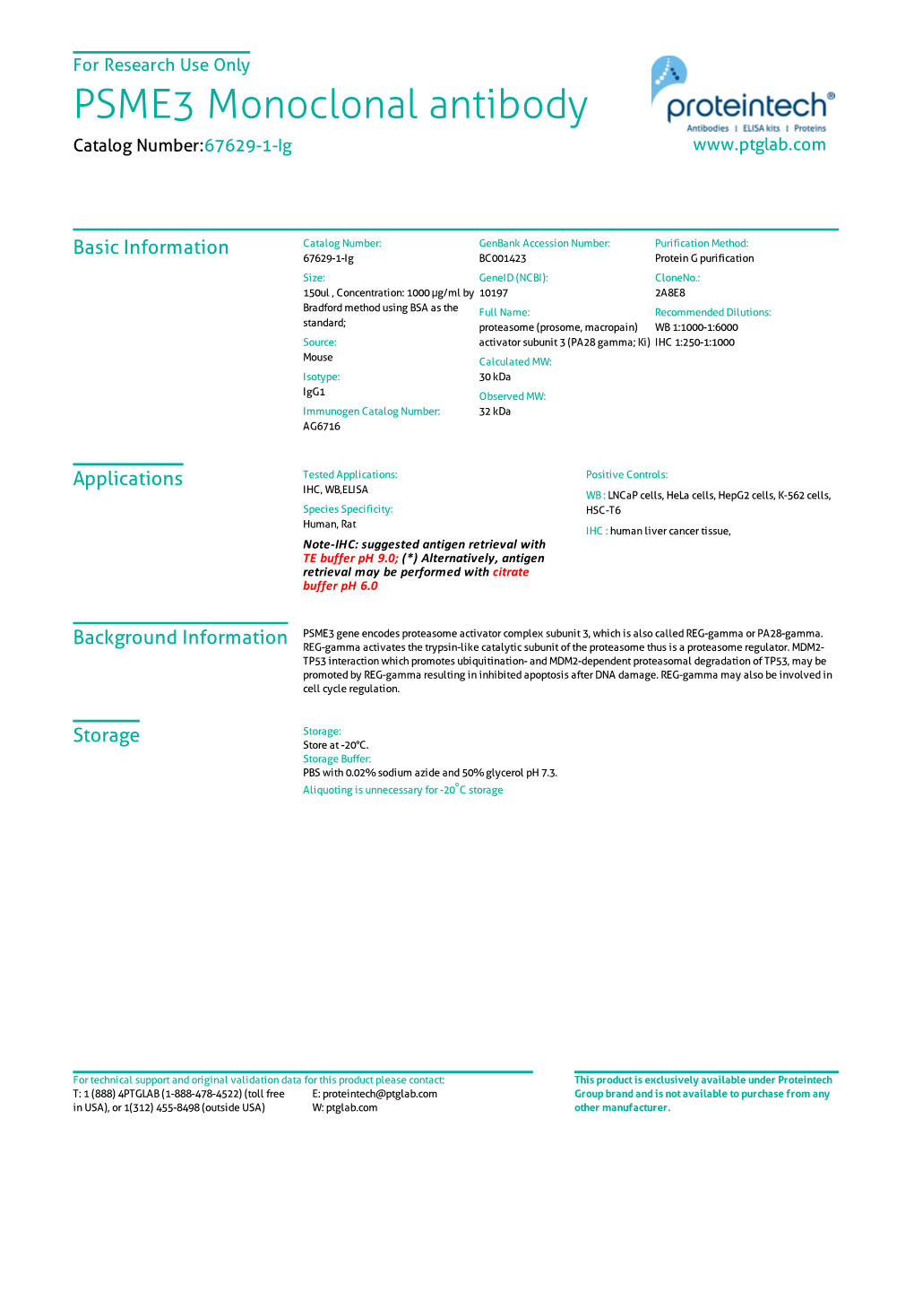 PSME3 Monoclonal Antibody Catalog Number:67629-1-Ig