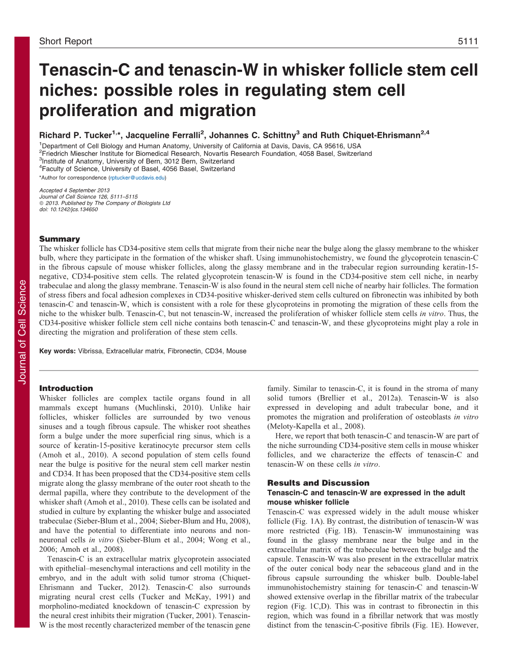 Tenascin-C and Tenascin-W in Whisker Follicle Stem Cell Niches: Possible