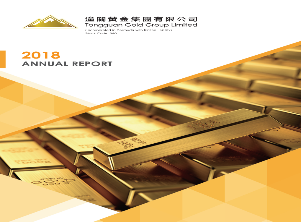 Annual Report 2018 1 Corporate Information