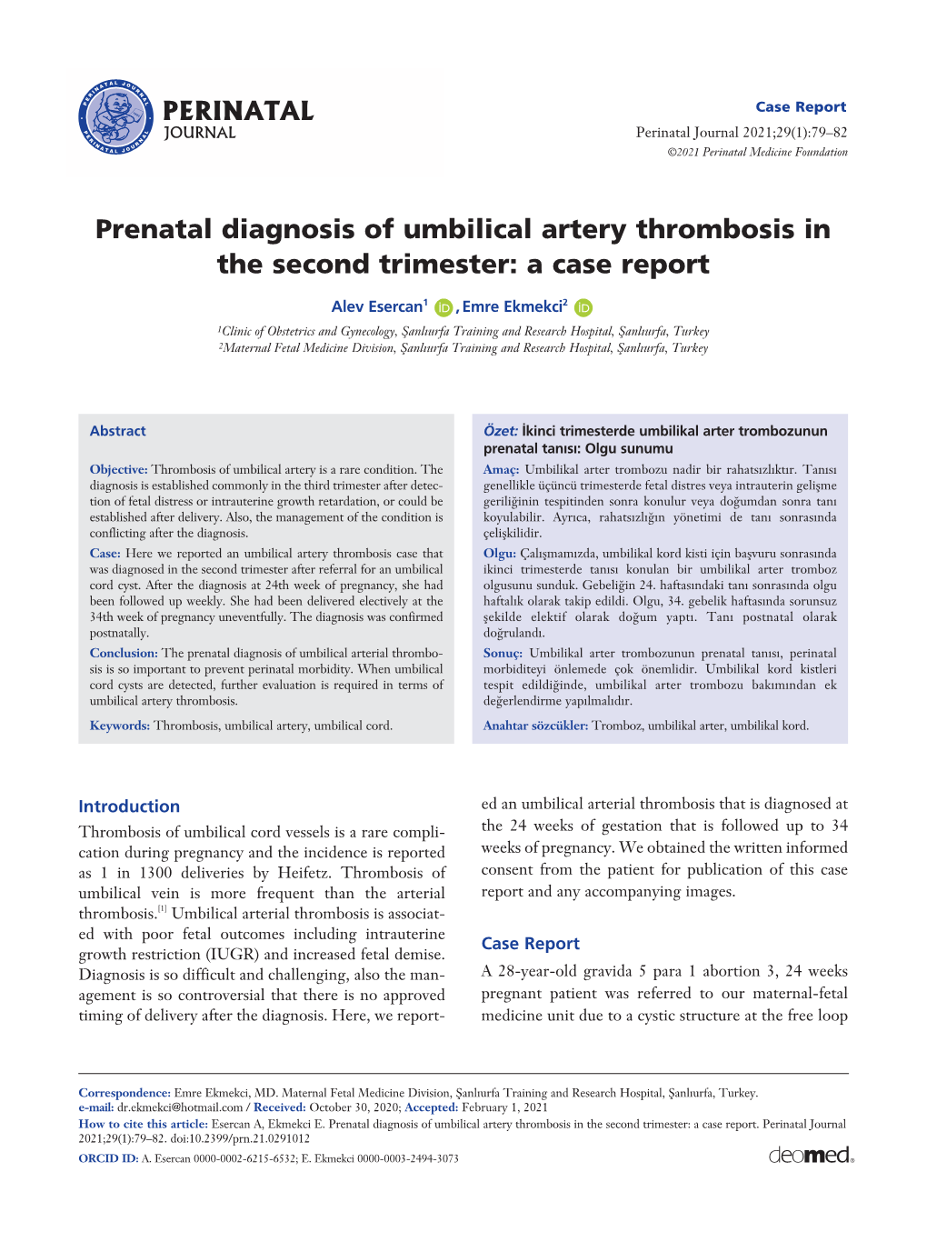Prenatal Diagnosis of Umbilical Artery Thrombosis in the Second Trimester: a Case Report