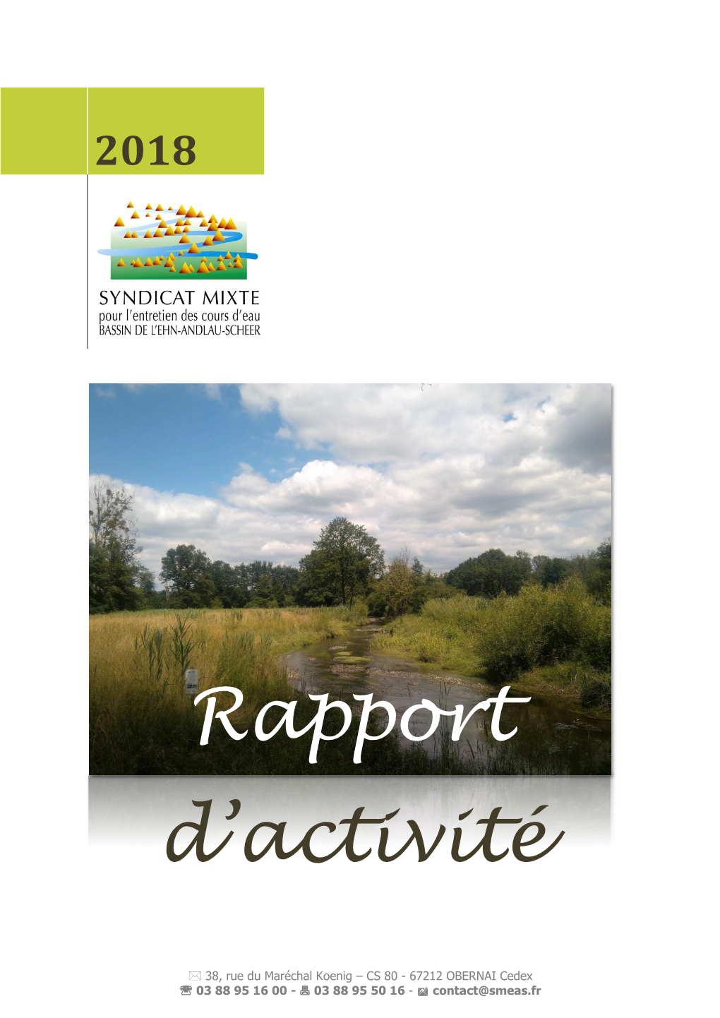 Rapport D'activité