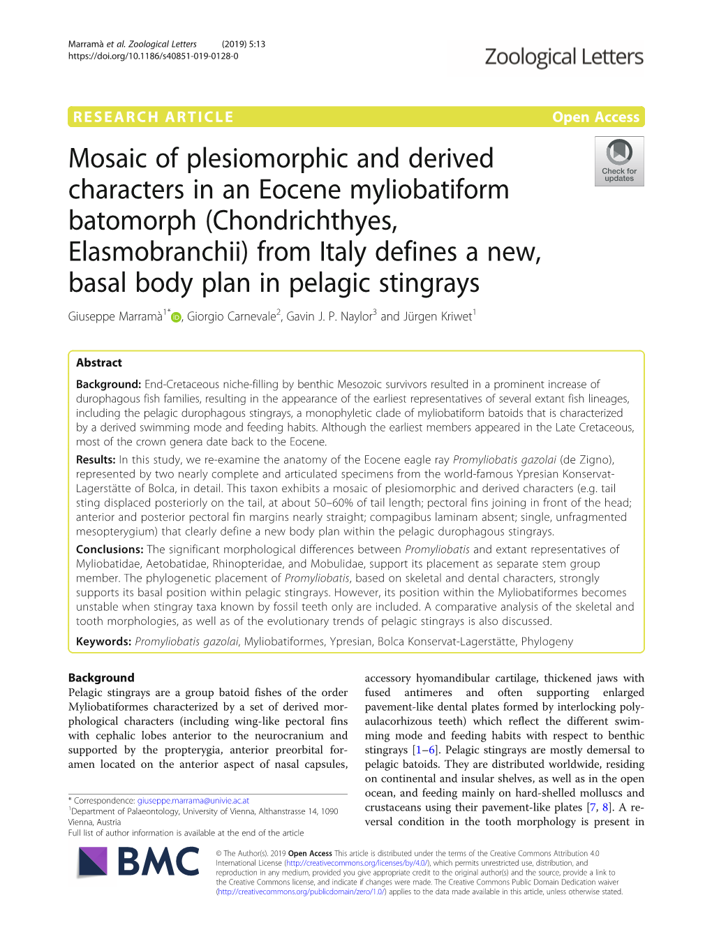 Chondrichthyes, Elasmobranchii) from Italy Defines a New, Basal Body Plan in Pelagic Stingrays Giuseppe Marramà1* , Giorgio Carnevale2, Gavin J