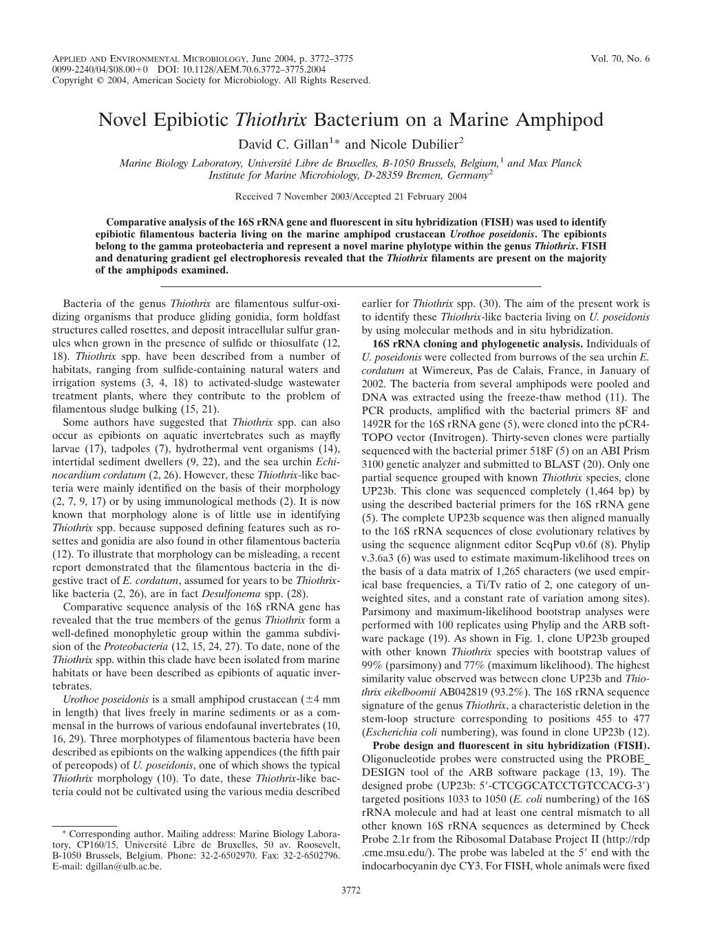 Novel Epibiotic Thiothrix Bacterium on a Marine Amphipod David C