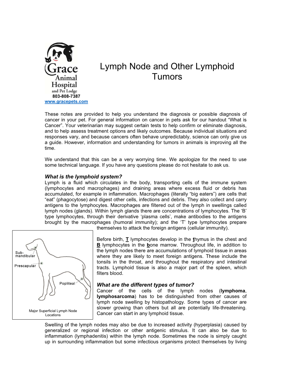 Lymph Node and Other Lymphoid Tumors