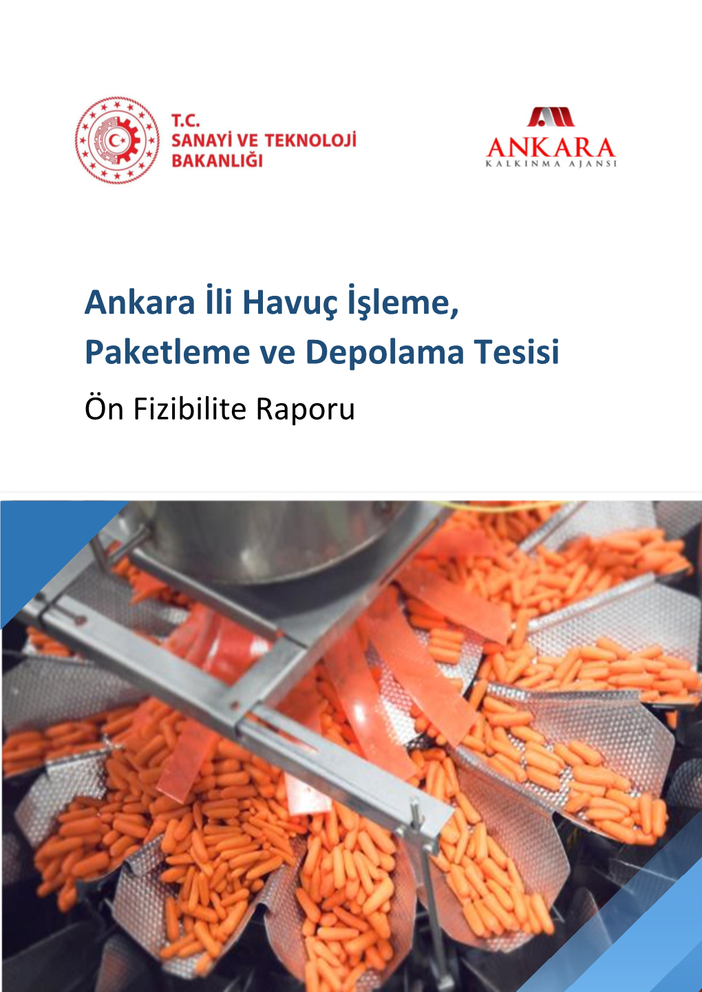 Ankara İli Havuç İşleme, Paketleme Ve Depolama Tesisi Ön Fizibilite Raporu