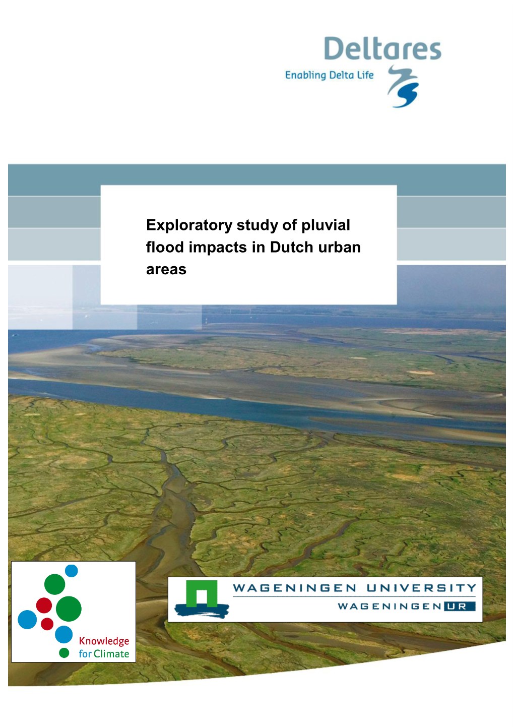 Exploratory Study of Pluvial Flood Impacts in Dutch Urban Areas