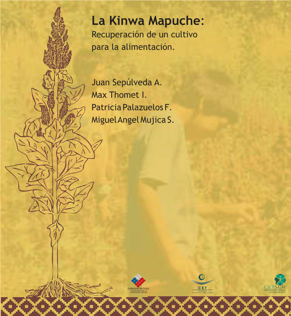 La Kinwa Mapuche: Recuperación De Un Cultivo Para La Alimentación