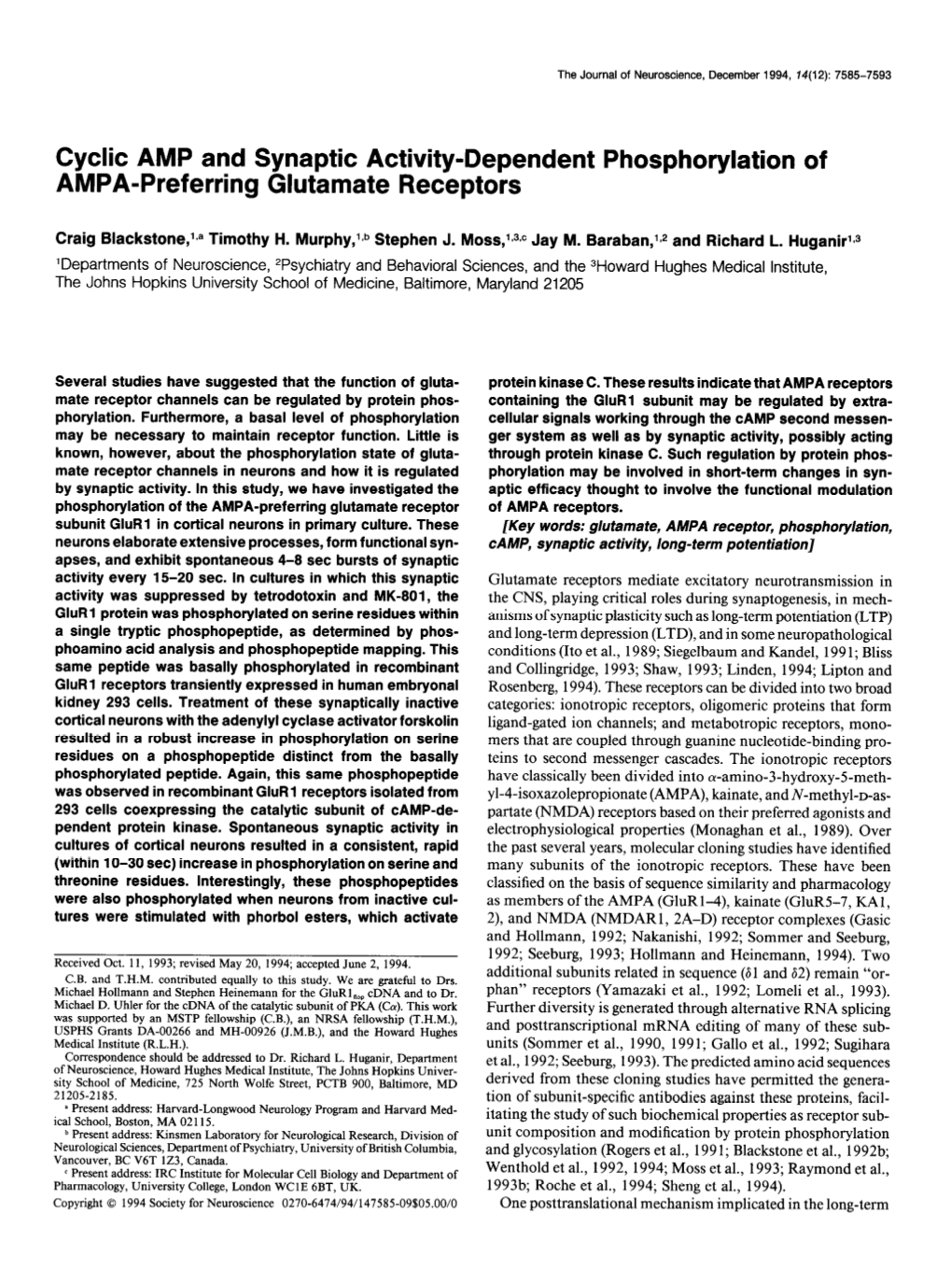 Cyclic AMP and Synaptic Activity-Dependent Phosphorylation of AMPA-Preferring Glutamate Receptors