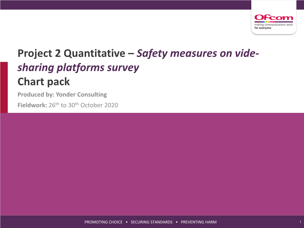 Safety Measures on Video-Sharing Platforms Survey 2021
