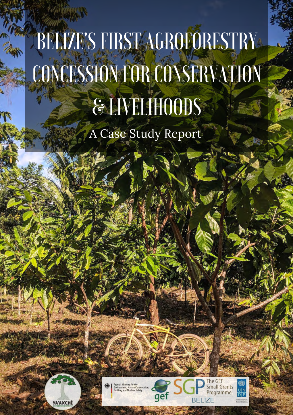 Belize's First Agroforestry Concession for Conservation & Livelihoods