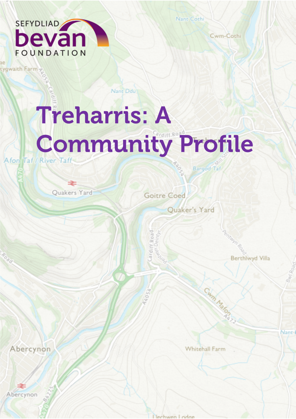 Treharris Community Profile