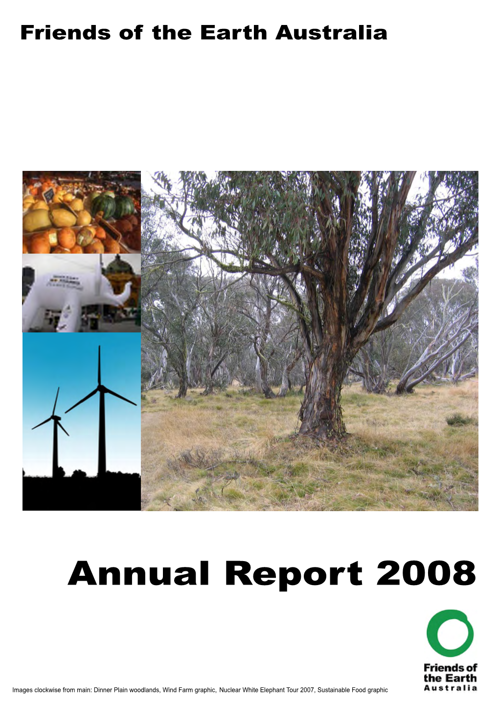 Annual Report 2008