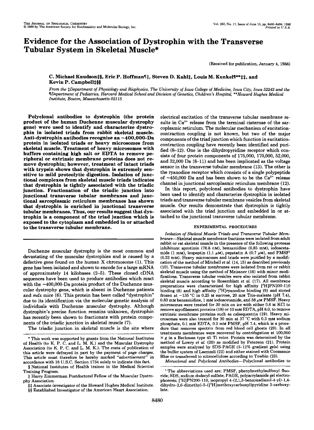 Evidence for the Association of Dystrophin with the Transverse Tubular System in Skeletal Muscle*