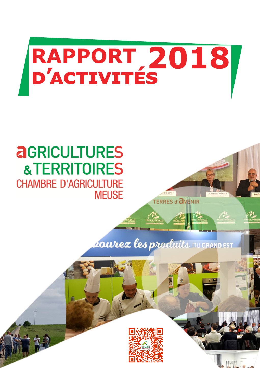 Rapport D'activités 2018