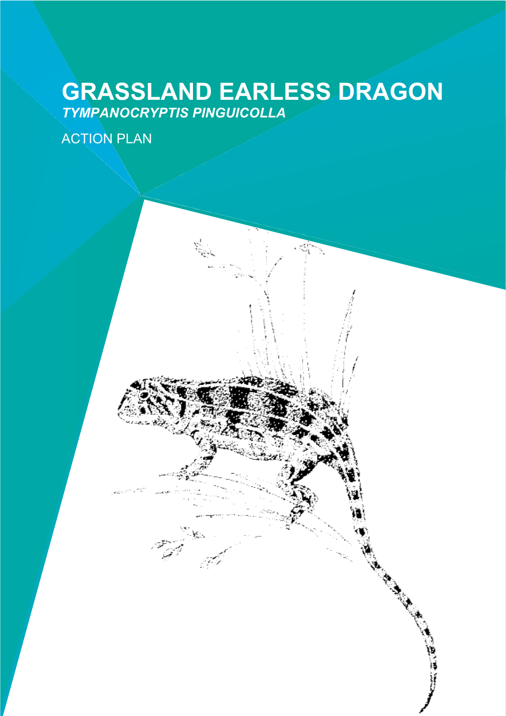 Grassland Earless Dragon Tympanocryptis Pinguicolla Action Plan