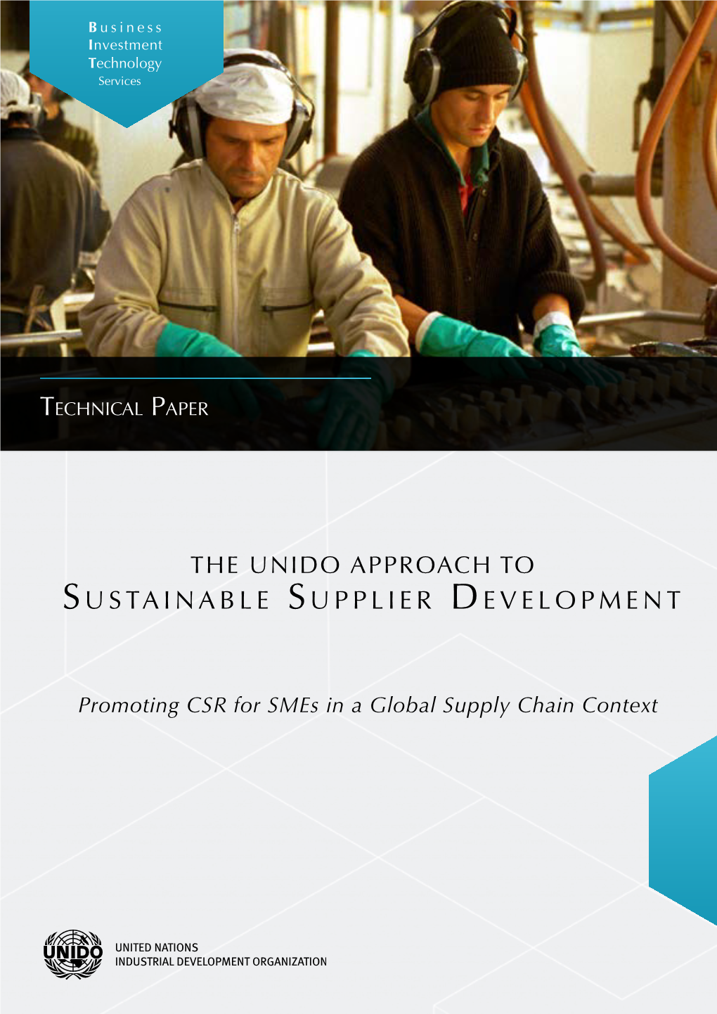 SUSTAINABLE SUPPLIER DEVELOPMENT C L U S T E R S a N D B U S I N E S S L I N K a G E S