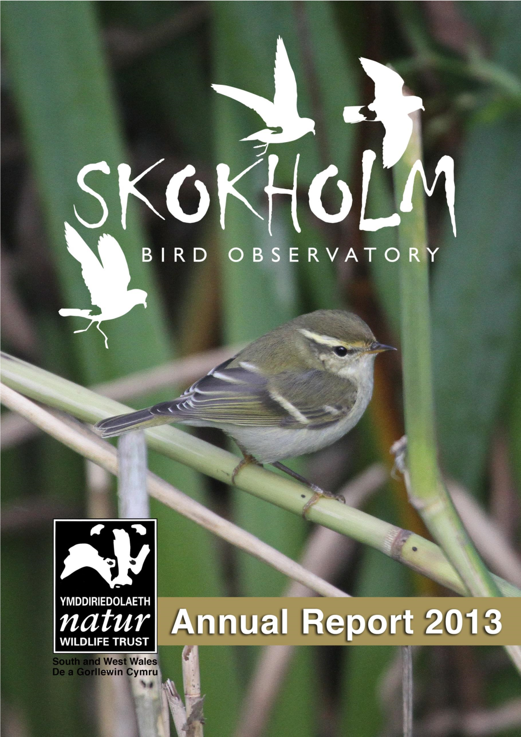 Skokholm Annual Report 2013